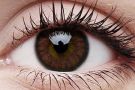 ColourVUE Big Eyes Pretty Hazel Contact Lens