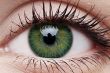ColourVUE 3 Tones Green Contact Lens