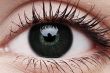 ColourVUE Big Eyes Dolly Black Contact Lens