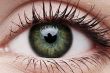 ColourVUE Big Eyes Gorgeous Brown Contact Lens