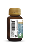 Herbs of Gold Probiotic + SB 30 Capsules