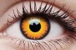 ColourVUE Crazy Lens Orange Werewolf 1-day Contact Lens