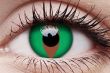 ColourVUE Crazy Lens Raptor Contact Lens