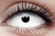 ColourVUE Sclera Snow Witch Contact Lens