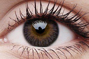 ColourVUE 3 Tones Violet Contact Lens