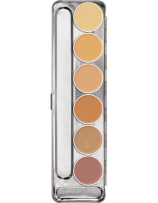 Dermacolor Camouflage Creme Palette 6