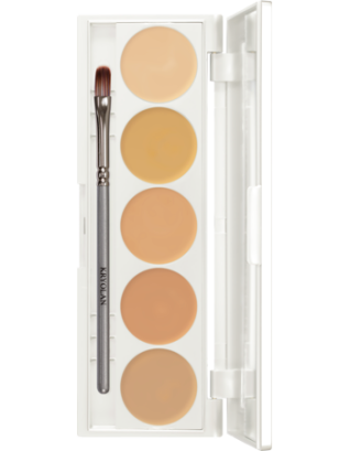 Dermacolor Camouflage Creme Quintet Set