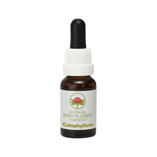 Australian Bush Flower Essence Calophyllum 15mL