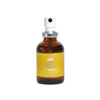 Australian Bush Flower Essence Focus Essence Oral Spray 30mL