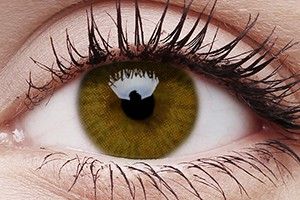 ColourVUE Basic Honey Contact Lens