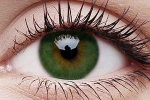 ColourVUE Basic Green Contact Lens