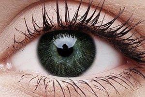 ColourVUE Basic Grey Contact Lens