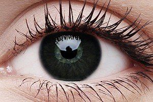 ColourVUE Big Eyes Dolly Black Contact Lens