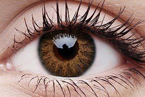 ColourVUE Glamour Honey Contact Lens