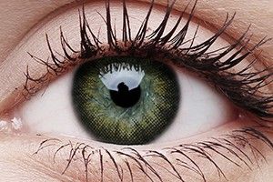 ColourVUE Big Eyes Gorgeous Brown Contact Lens