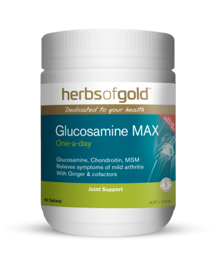 Herbs of Gold Glucosamine MAX 90 Tablets
