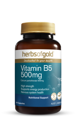Herbs of Gold Vitamin B5 500mg 60 Capsules