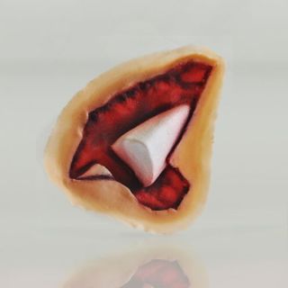 Kryolan Latex Bone Fragment Arm