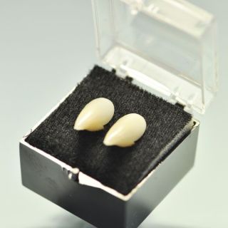 Kryolan Acrylic Fangs