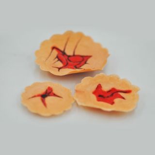 Kryolan Latex Wounds 3pcs