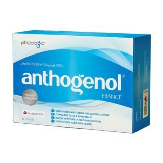 Phytologic Anthogenol 60 Capsules