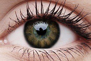 ColourVUE Big Eyes Sexy Brown Contact Lens