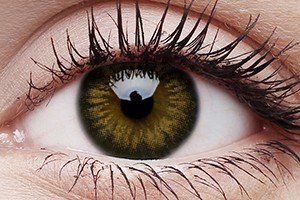 ColourVUE Big Eyes Sweet Honey Contact Lens