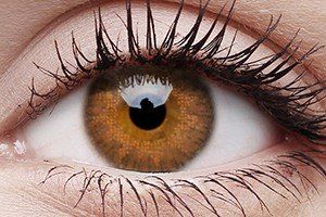 ColourVUE Trublends Brown Contact Lens