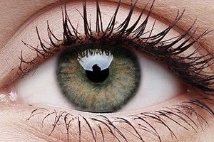 ColourVUE Trublends Grey Contact Lens