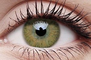 ColourVUE Trublends Hazel Contact Lens