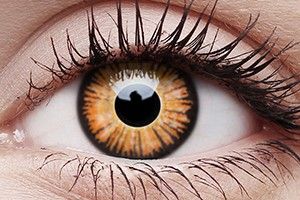 ColourVUE Crazy Lens Twilight Contact Lens