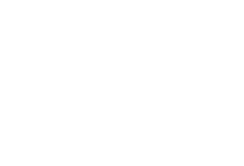THE MAN SHAKE