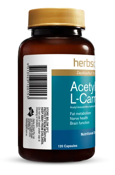 is l carnitine safe for high blood pressure Essential L-Carnitine